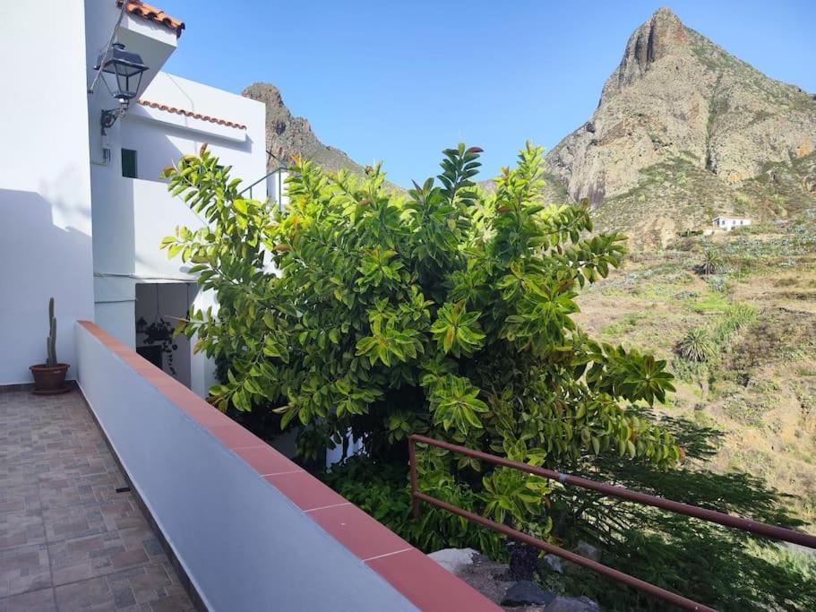 Villa La Casa Vieja Santa Cruz de Tenerife Esterno foto